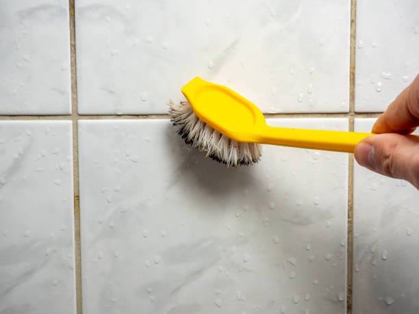 Best Mold Testing  in Saticoy, CA
