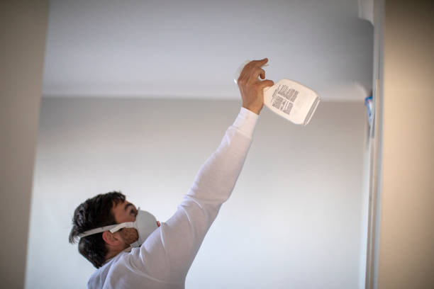 Best Professional Mold Removal  in Saticoy, CA