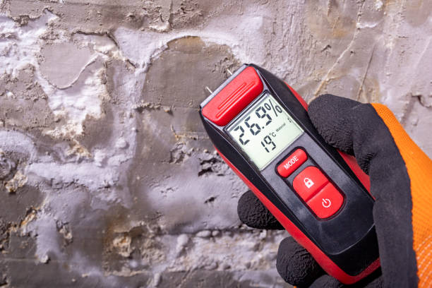 Best Toxic Mold Removal  in Saticoy, CA