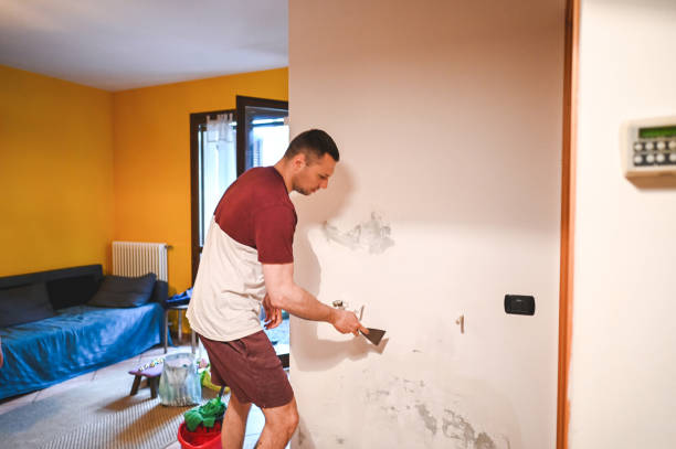 Best Local Mold Removal Service  in Saticoy, CA